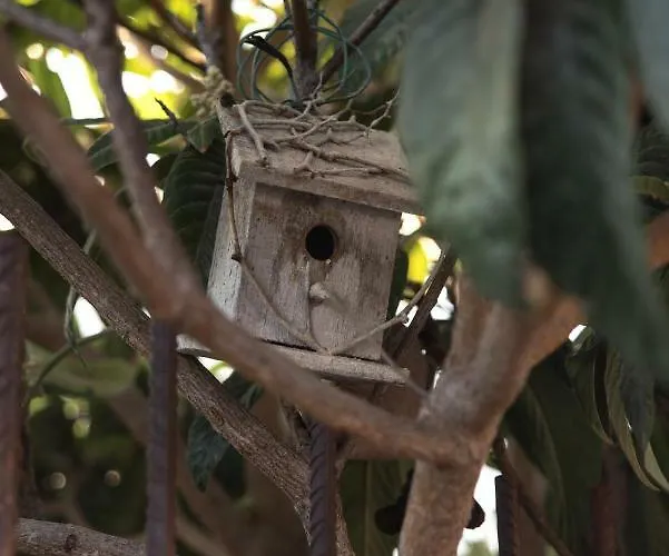 펜션 Casa Jacinta Con Jacuzzi *
