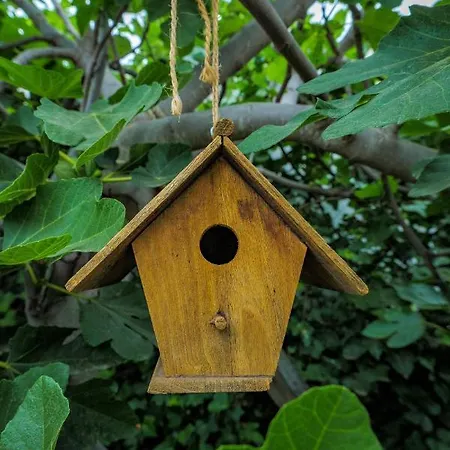 Casa Jacinta Con Jacuzzi * Costa Adeje (Tenerife)