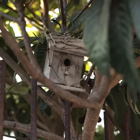 Vakantiehuis Casa Jacinta Con Jacuzzi *