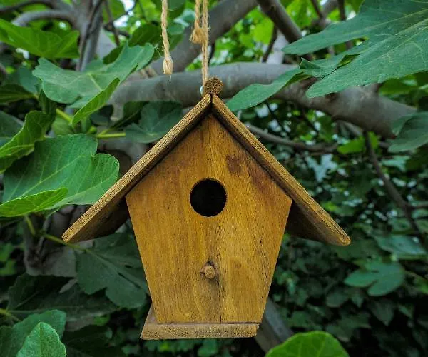 Casa Jacinta Con Jacuzzi * Адехе